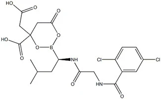 Nattokinase structure