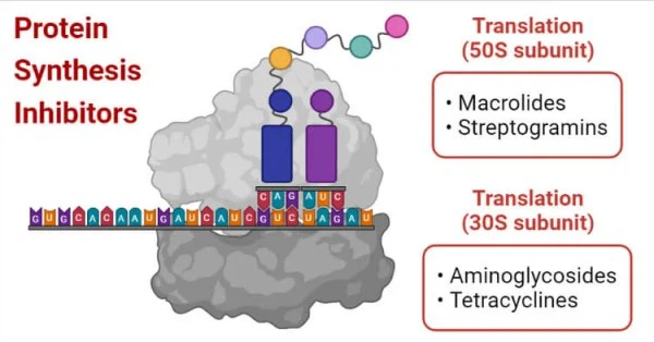 Oxytetracycline Hcl protein Oxytetracycline Hcl protein