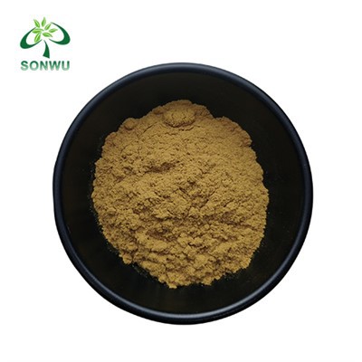 Verbascoside Powder
