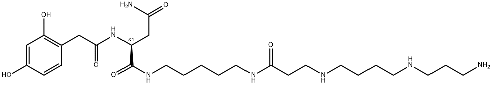 lactoferrin structure