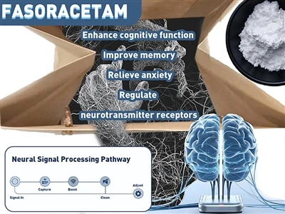Može li Fasoracetam (NS-105) pomoći u liječenju ADHD-a? Novi uvid u njegove p...