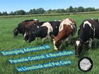 Novi napredak u kontroli parazita: revolucija u stočarstvu i brizi o kućnim l...