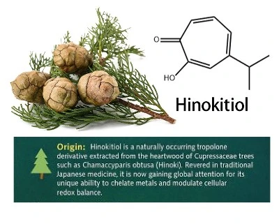 Hinokitiol powder C Hinokitiol powder C