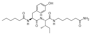 Dihexa chemical formula